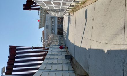 The Tijuana Medical Fast Pass: How to Get It, Use It, and Cut Border Wait Times